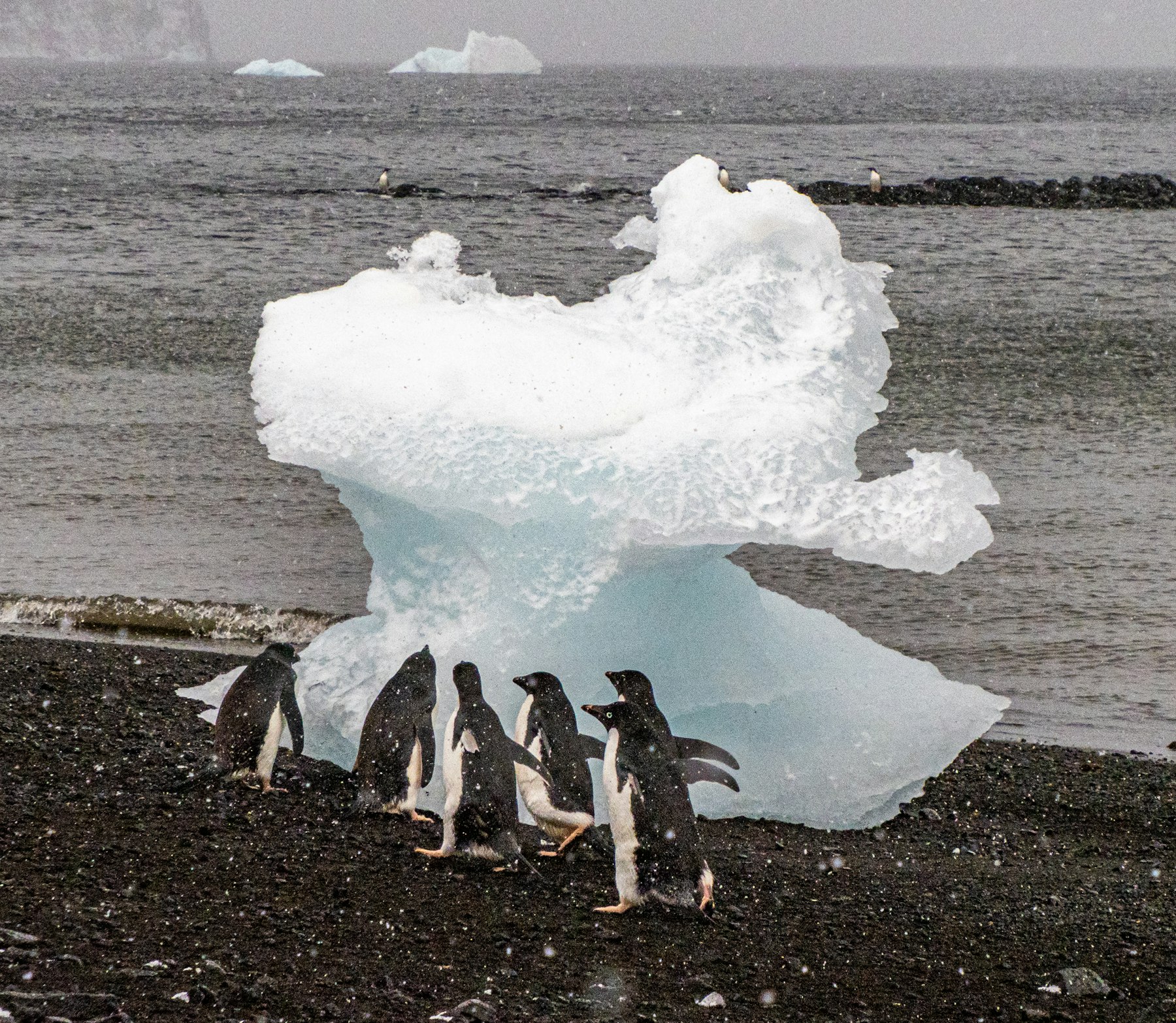 Antarctica