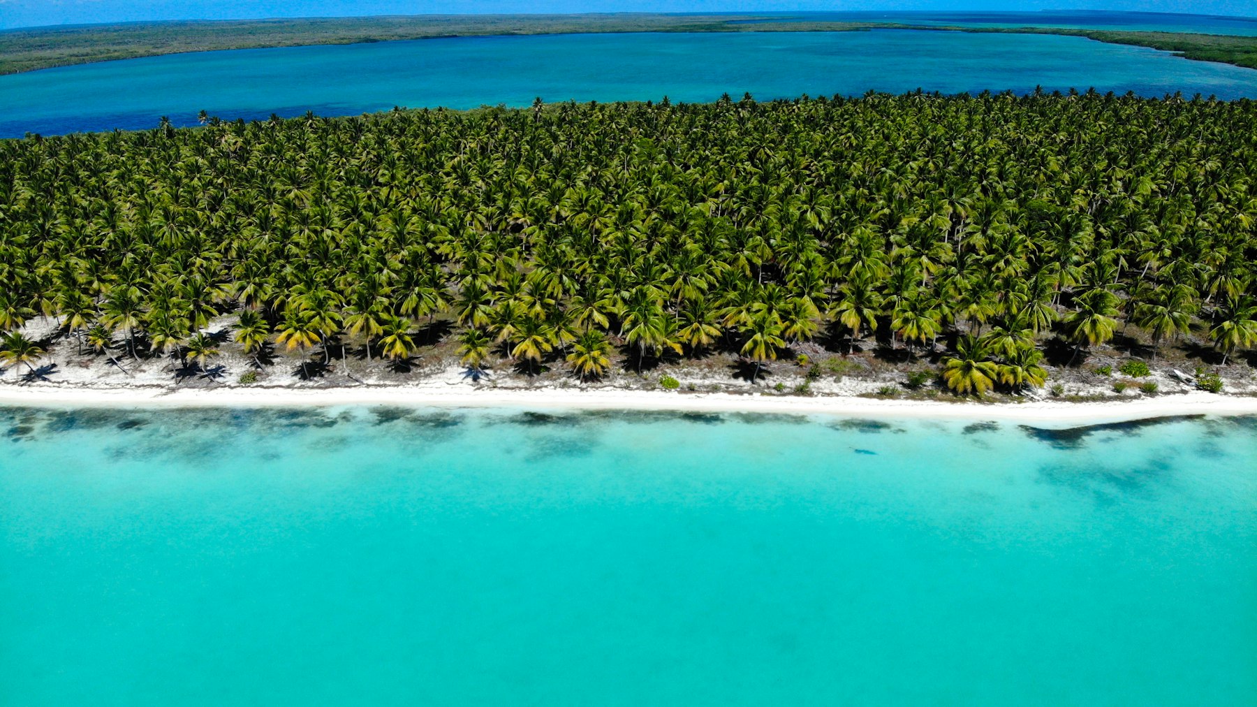 Caribbean