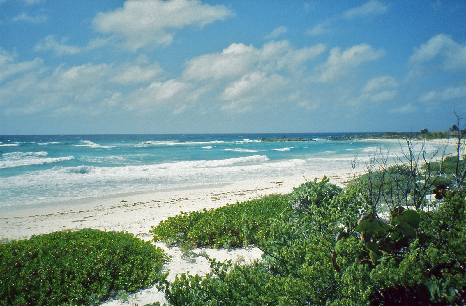 The east coast of Cozumel