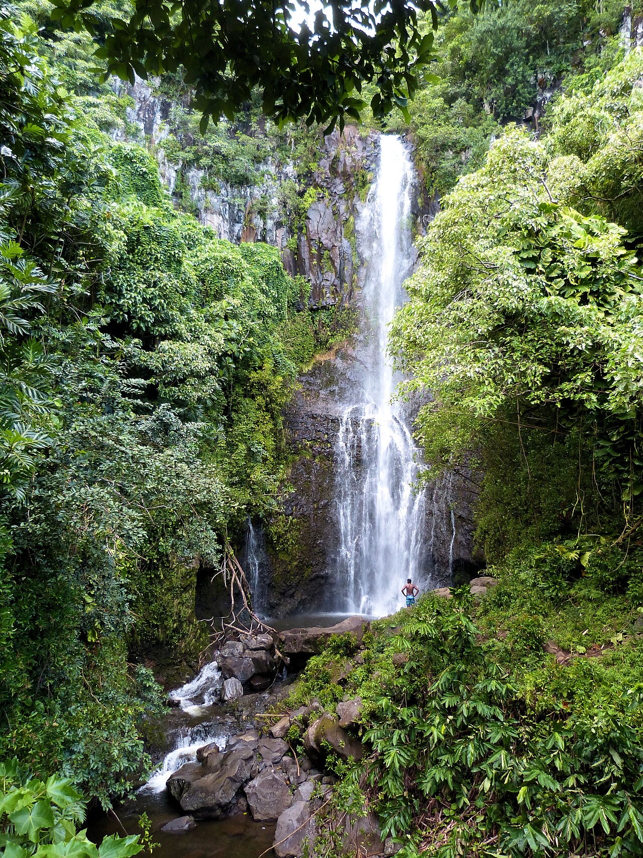 A waterfall along the Road to Hana, Maui