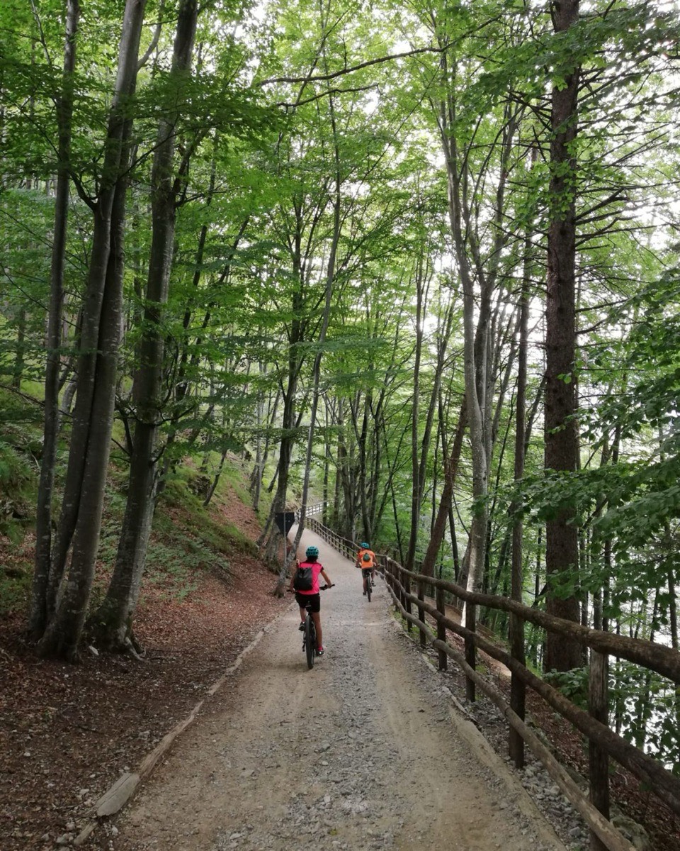 Bike tours built into itineraries