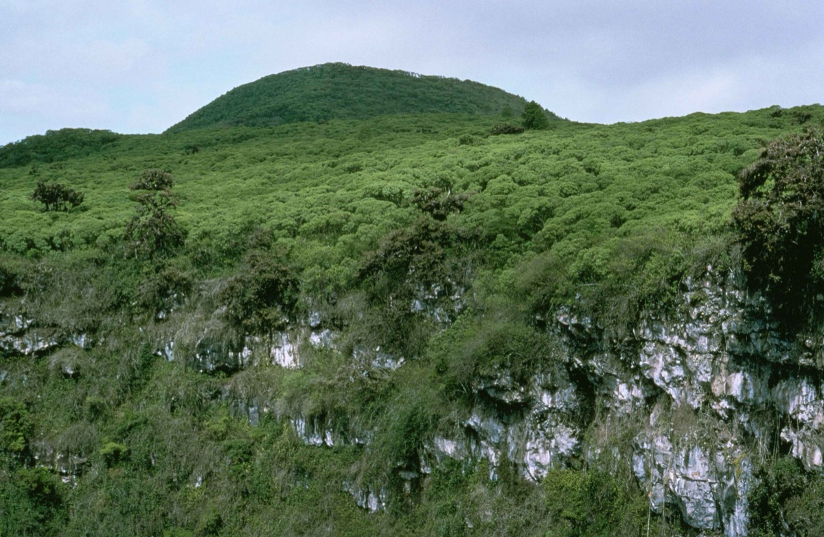 The Galápagos, by small yacht
