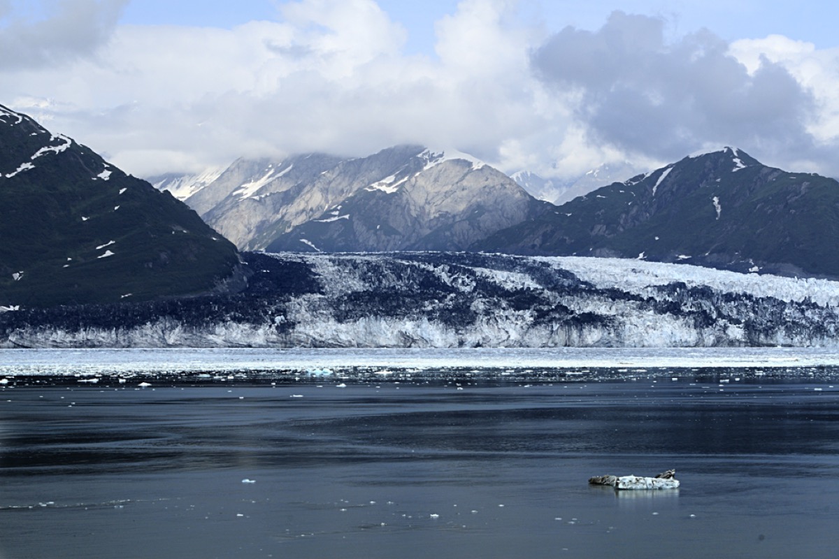 Deep Alaska and world cruise programs