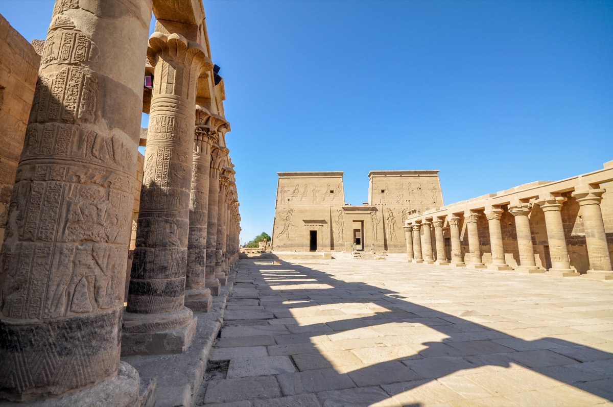 Purpose-built ships for the Nile